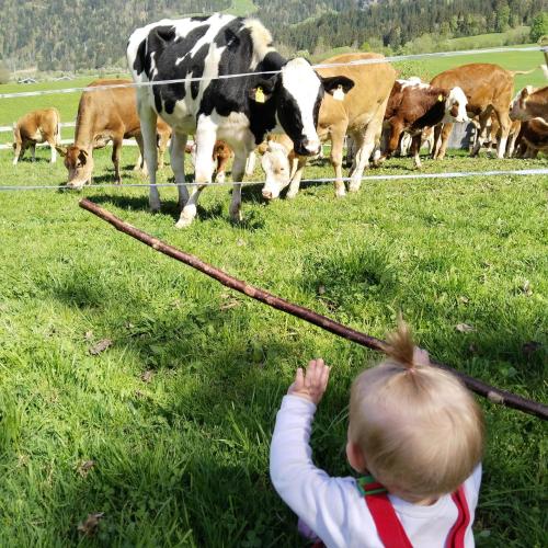Maurerhof Itter in Itter, Austria