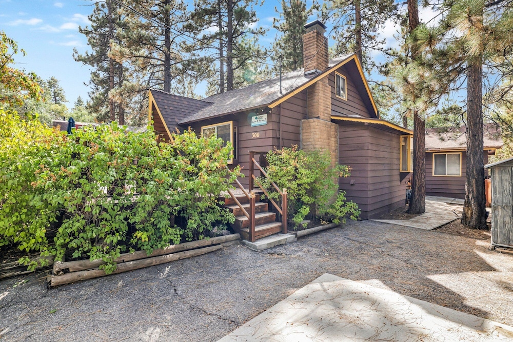 Sugar Bear Pines #2493