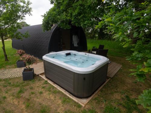 Squirrels Drey in South Cerney, United Kingdom