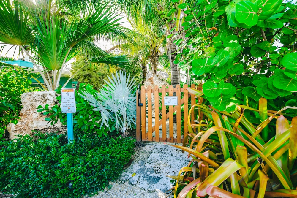 Tropical Breeze Resort - photo 186