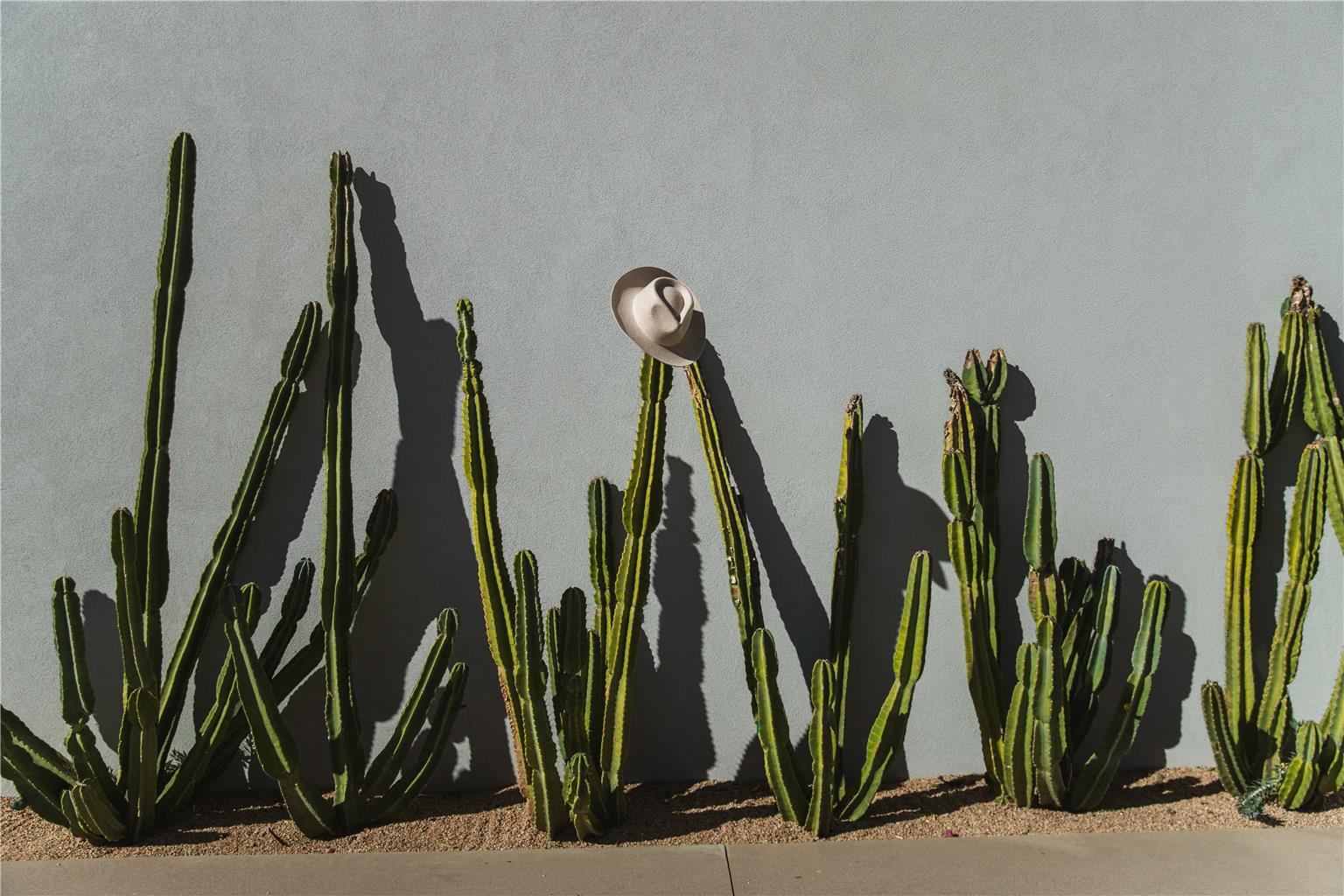 Andaz Scottsdale Resort & Bungalows - photo 114