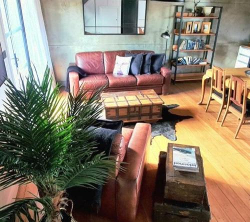 Apartment 3 Haddin Court Industrial Glam — 4-Star Luxury Hotel in Blenheim, New Zealand