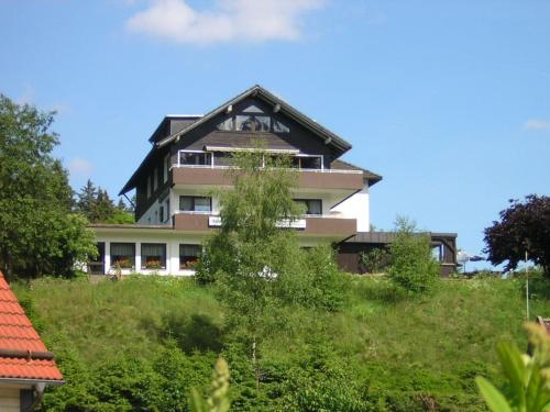 Hotel zur Schmiede — hotel in Altenau