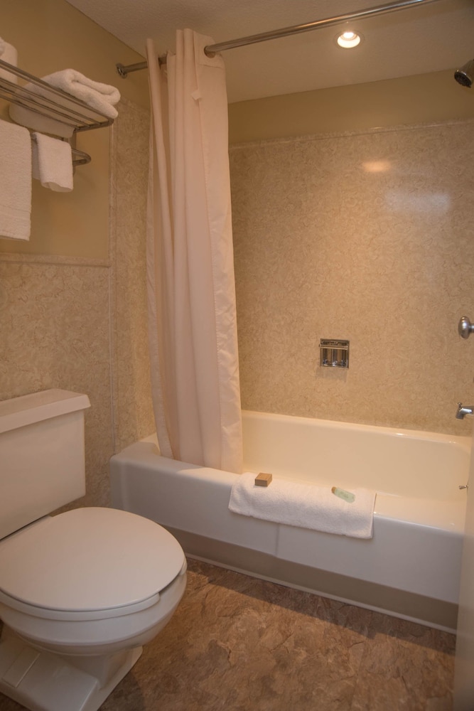 Colonnade Inn - photo 26