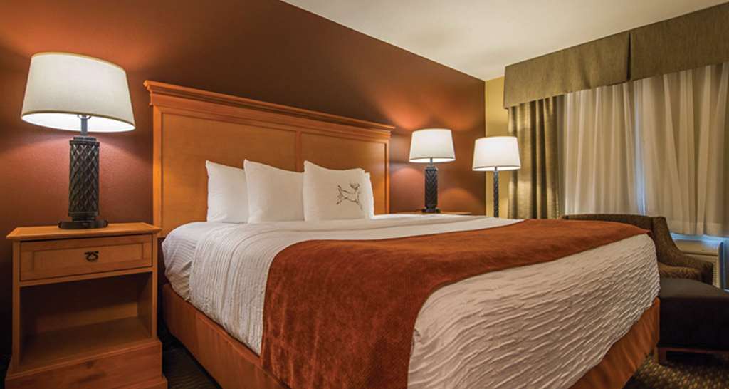 Best Western Plus Deer Park Hotel & Suites - photo 12