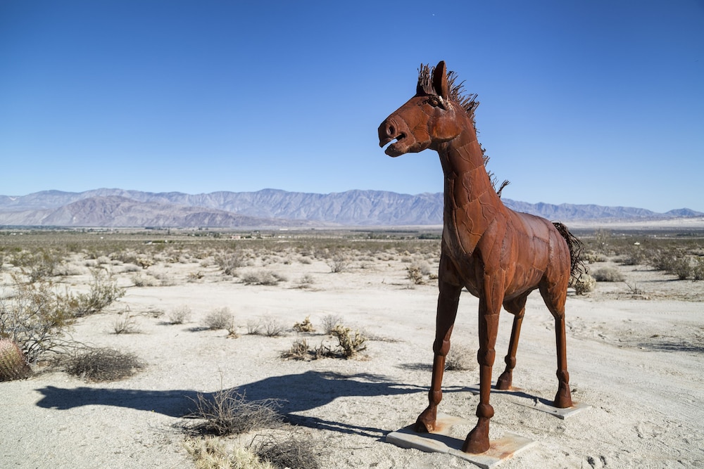 Borrego Springs Resort & Spa - photo 49