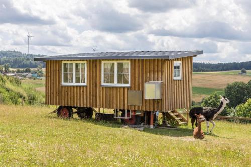 Tinyhouse Alpakawiese in Schlitz, Germany
