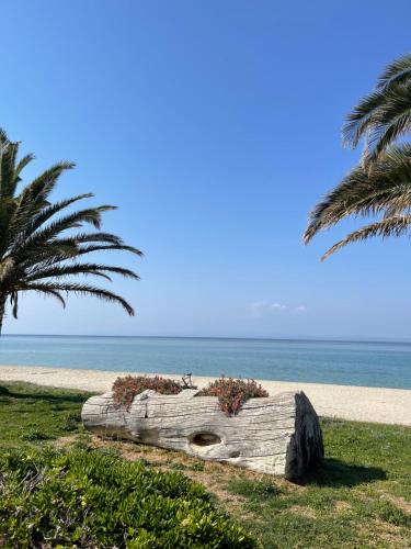Family House Next To The Beach A — 4-Star Luxury Hotel in Pefkochori, Greece