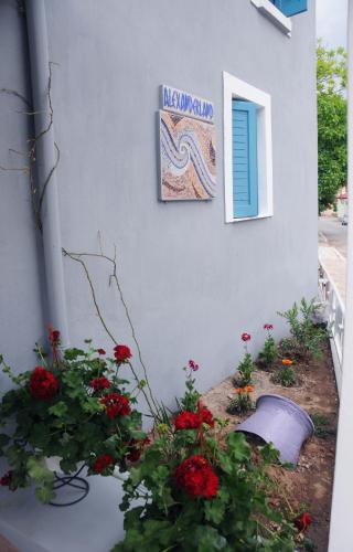 Alexanderland — Pella — photo 2
