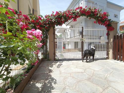 Appartamento ALöa — 4-Star Luxury Hotel in Loano, Italy