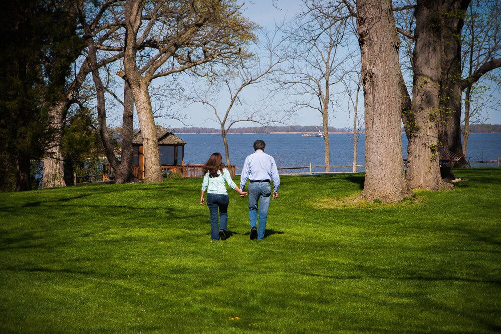 Great Oak Manor - photo 82