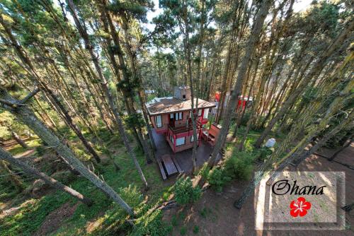 Ohanamarazul en el Bosque - last minute hotel in Unknown City