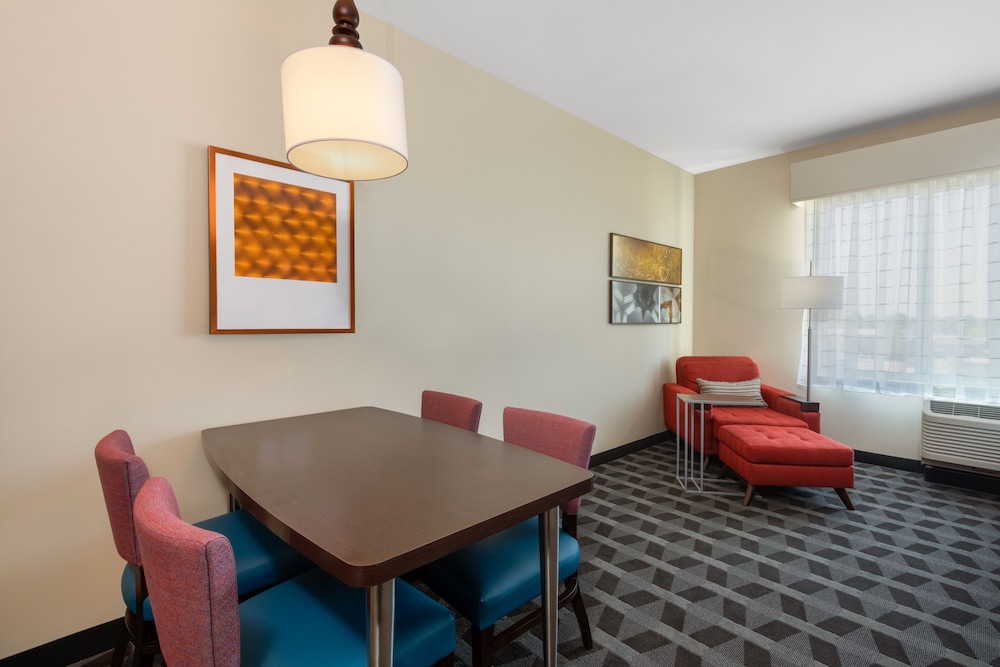 TownePlace Suites by Marriott Indianapolis Airport - photo 28