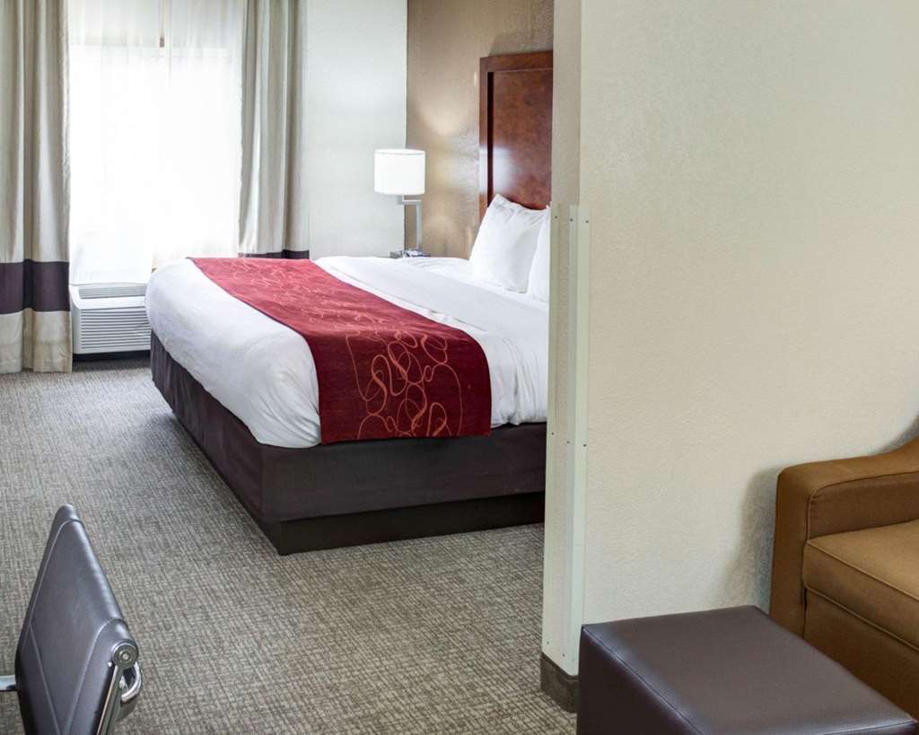 Comfort Suites Omaha Northwest - photo 18