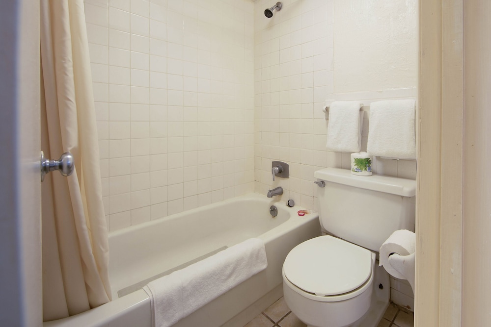 OYO Hotel Doswell Kings Dominion - photo 15