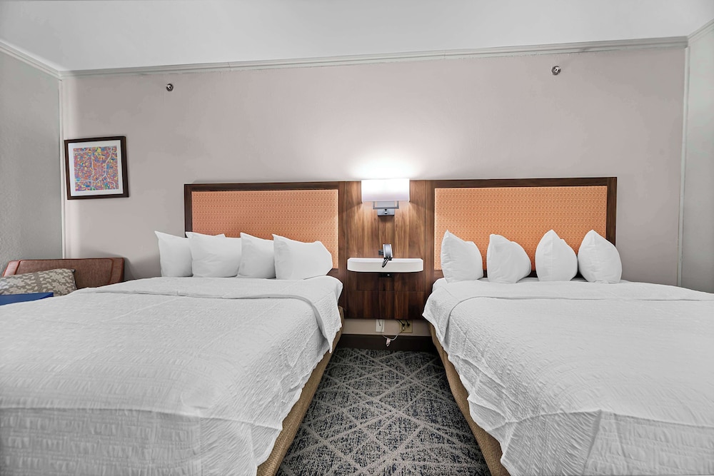 Hampton Inn Seguin - photo 24