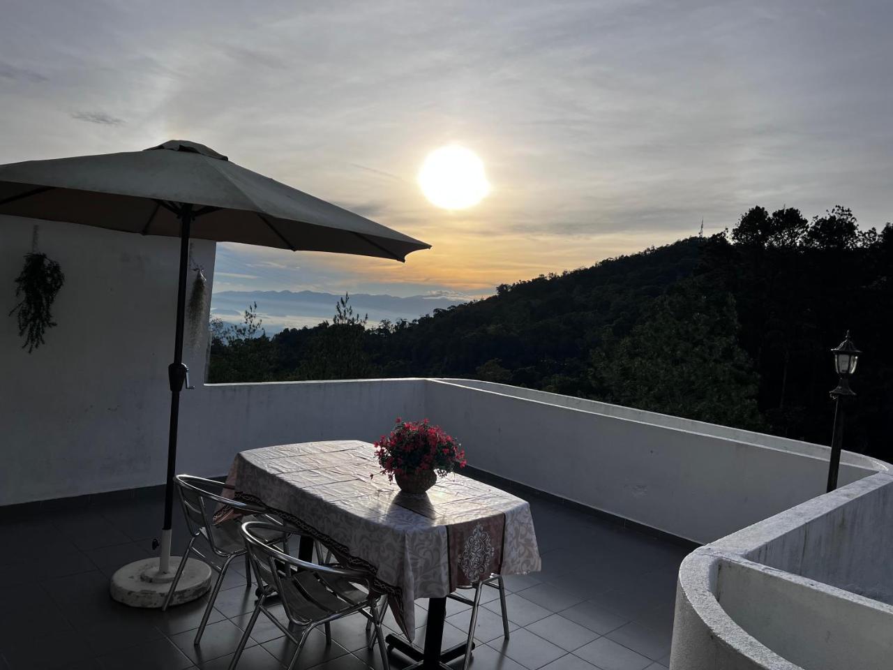 The Milky Way @ Pine Resort — Raub — photo 2
