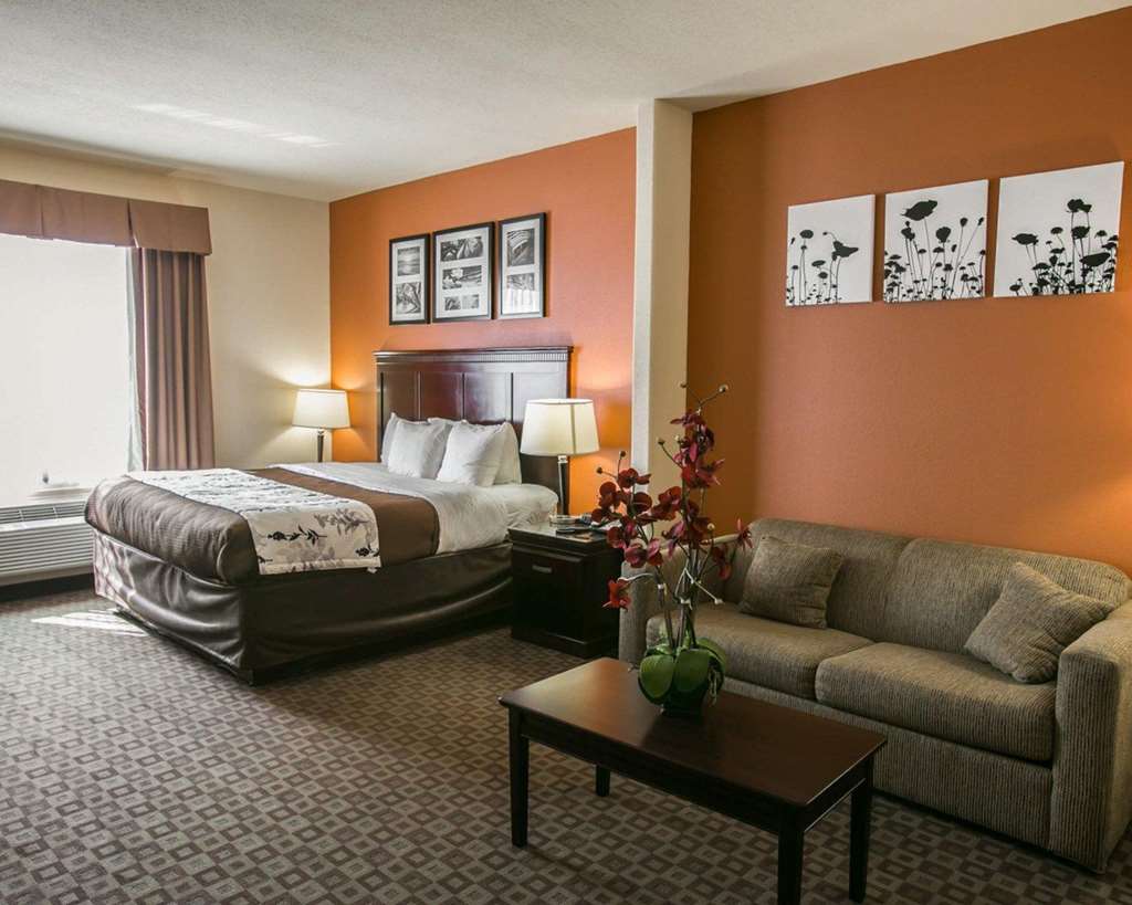 Sleep Inn & Suites Highway 290 NW Freeway - photo 19