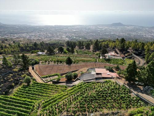 Finca Ecológica Ferrera. Alojamiento Rural. — hotel in Arafo