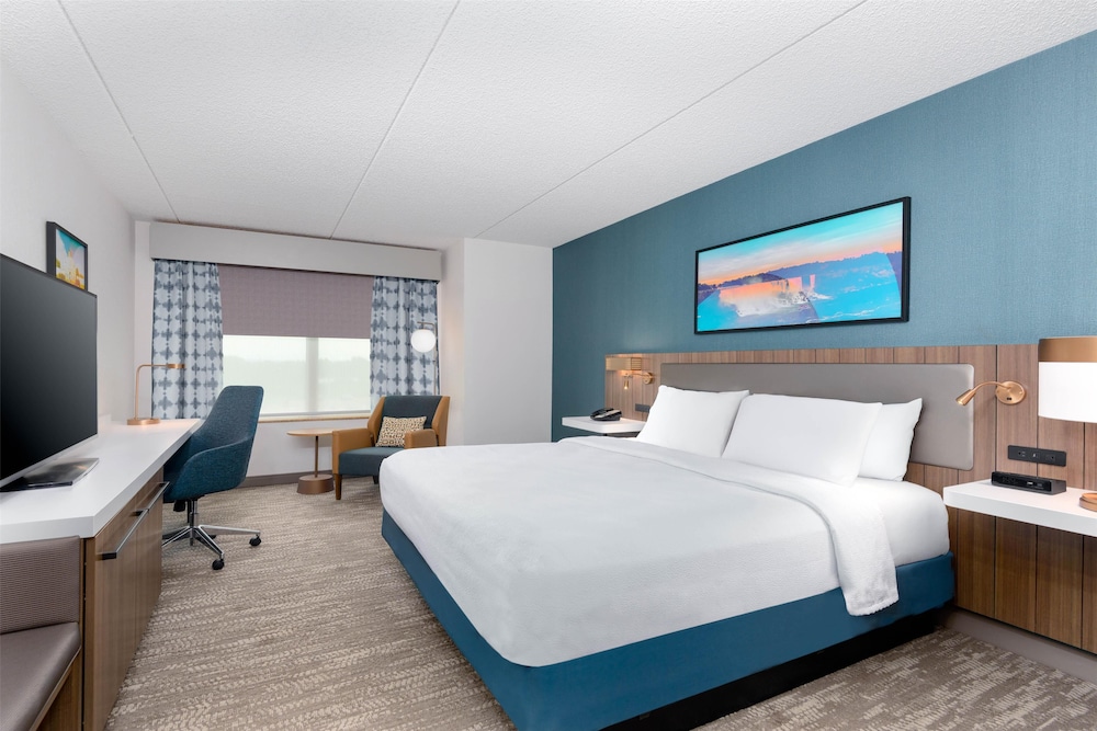 Hilton Garden Inn Buffalo Airport - photo 16