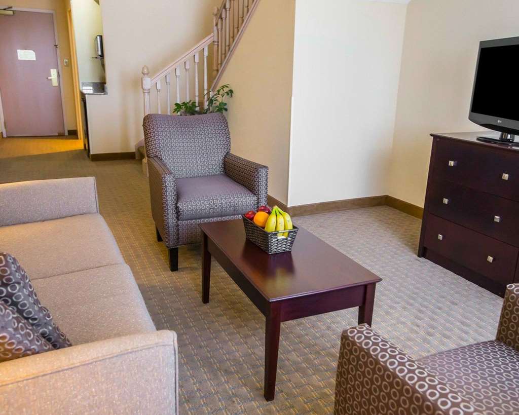 Comfort Suites University Area Notre Dame South Bend - photo 16