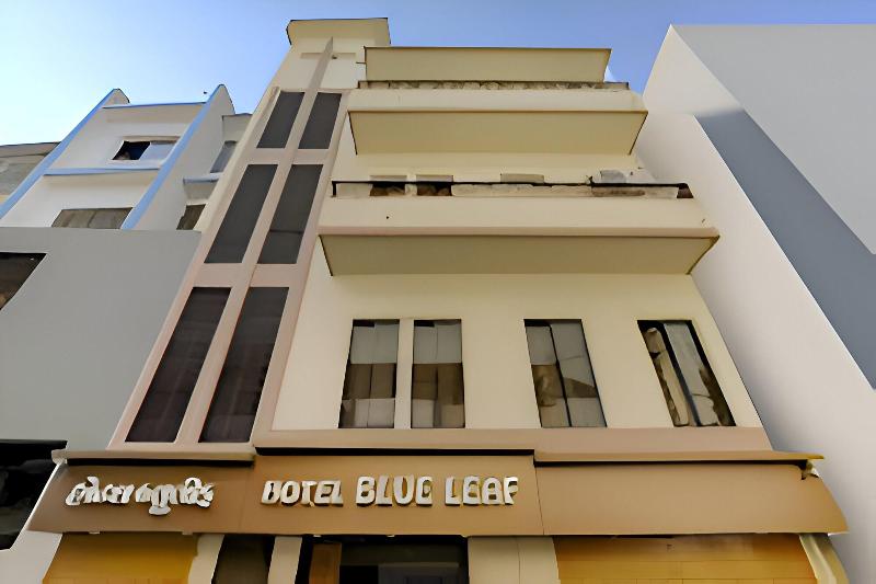 Hotel Blue Leaf — Rajkot — photo 4