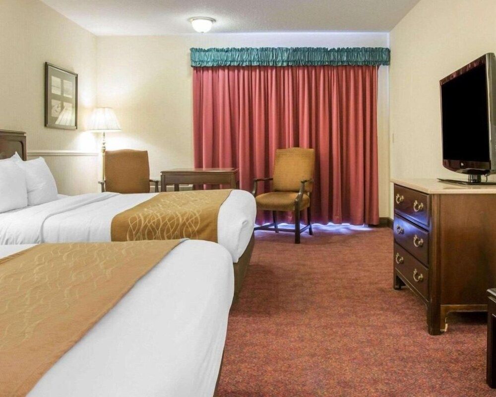 Canberra Premiere Comfort Hotel - photo 6