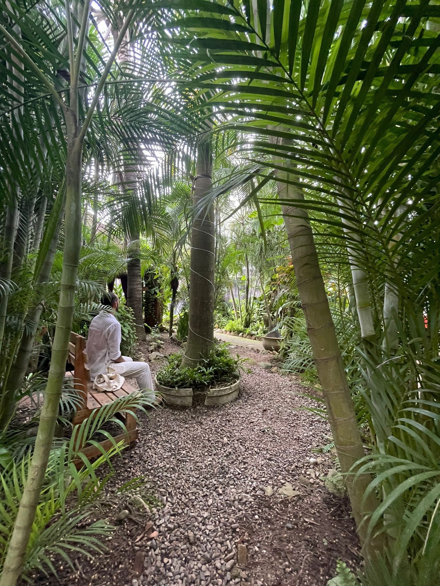 Okahey Sayulita Nayarit in Sayulita, Mexico