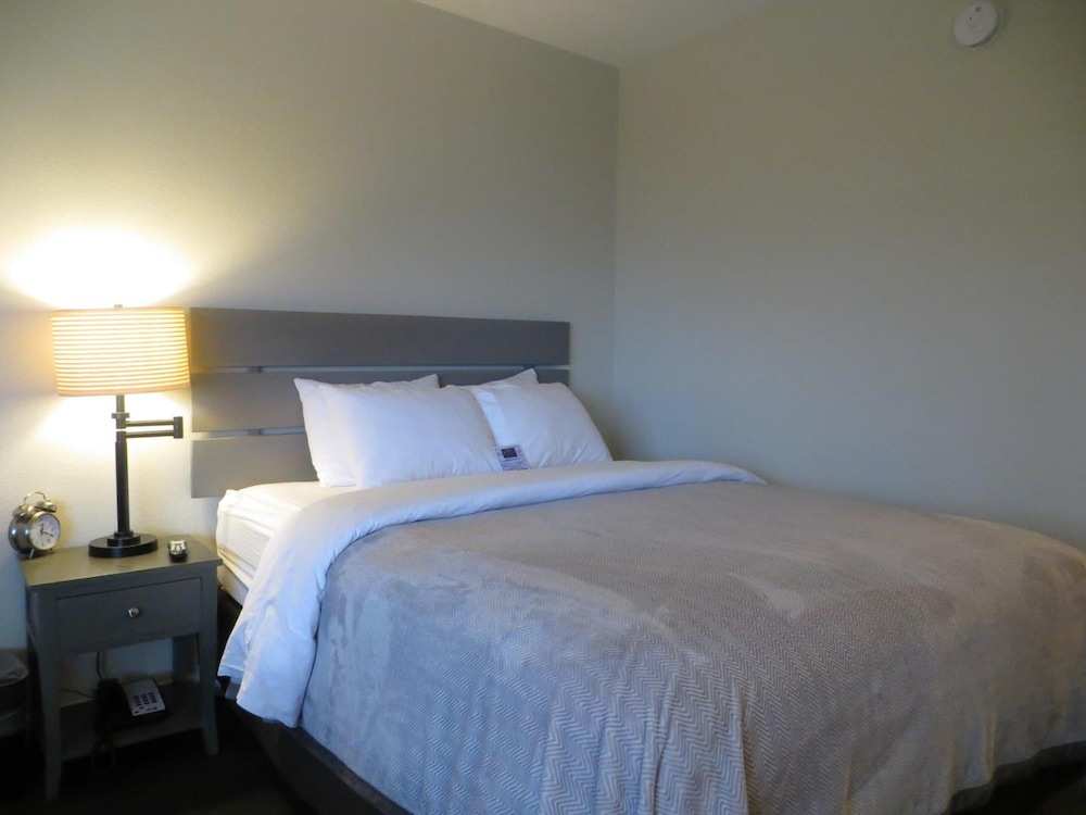 Brio Beach Inn - photo 13