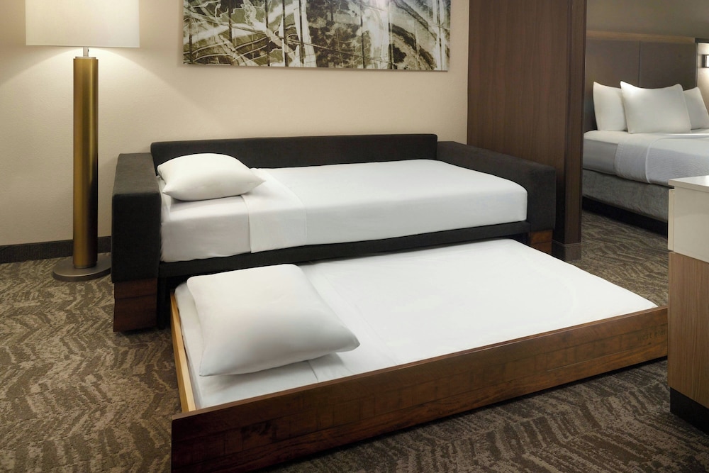 Springhill Suites By Marriott Atlanta Six Flags - photo 9