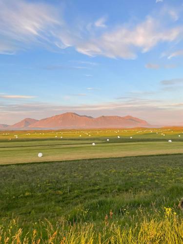 Selið Farm Stay Guesthouse
