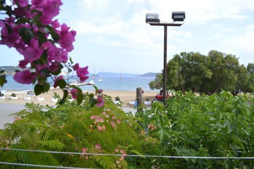 Filanthi Rooms — Methoni — photo 2