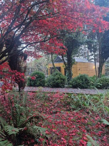Ty Branwen Luxury Woodland Lodge With Stunning Views 20720366 — Cowbridge