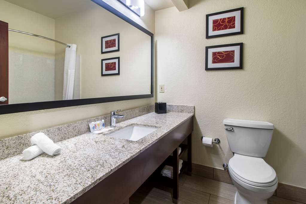 Comfort Suites Danville - photo 13