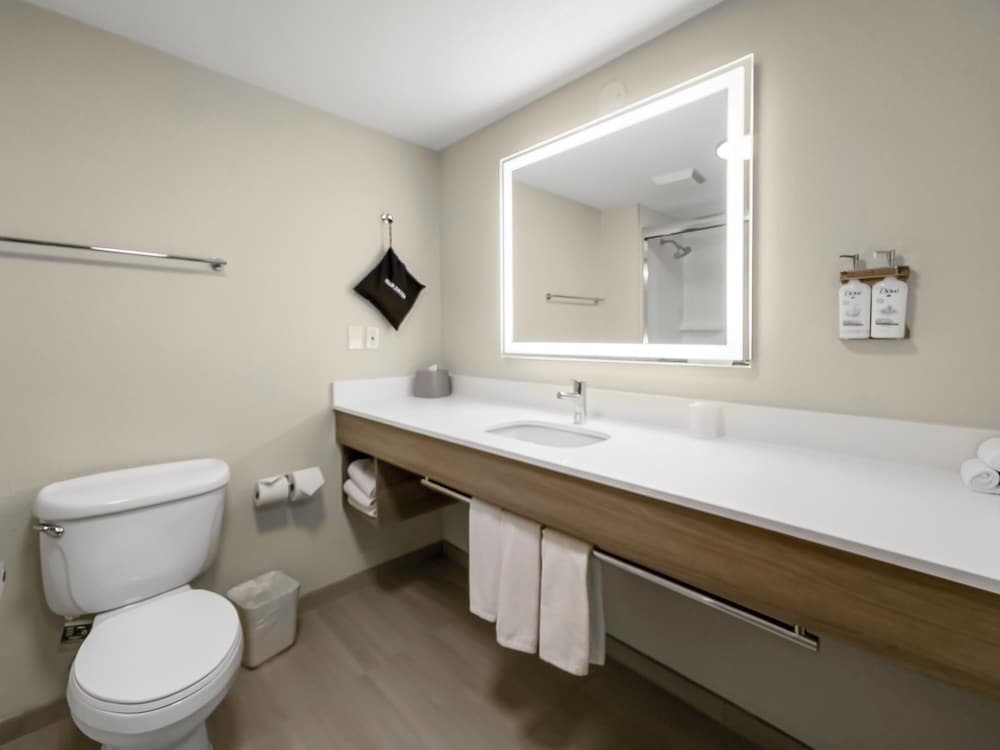 Holiday Inn Express Salt Lake City South Midvale by IHG - photo 11