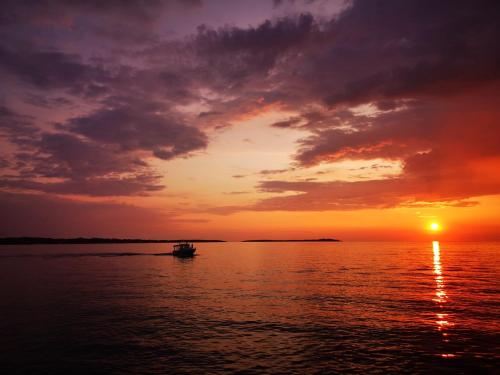 Holiday house Pineta Fazana sea view & mini wellness — 4-Star Luxury Hotel in Fazana, Croatia