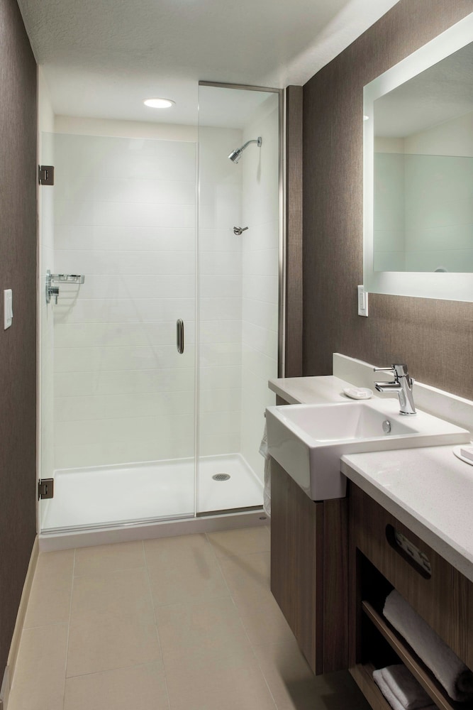 SpringHill Suites by Marriott Tampa Suncoast Parkway - photo 11