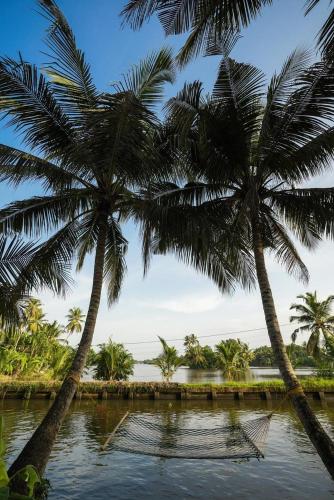 Cocozone Stays — Alleppey — photo 3