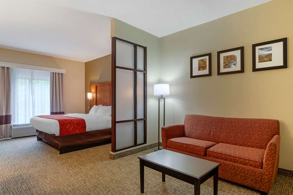 Comfort Suites Kingsport South - photo 7