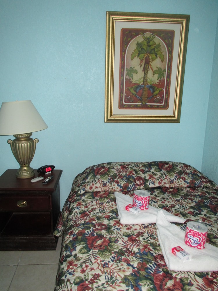 Dixie Hotel - photo 5