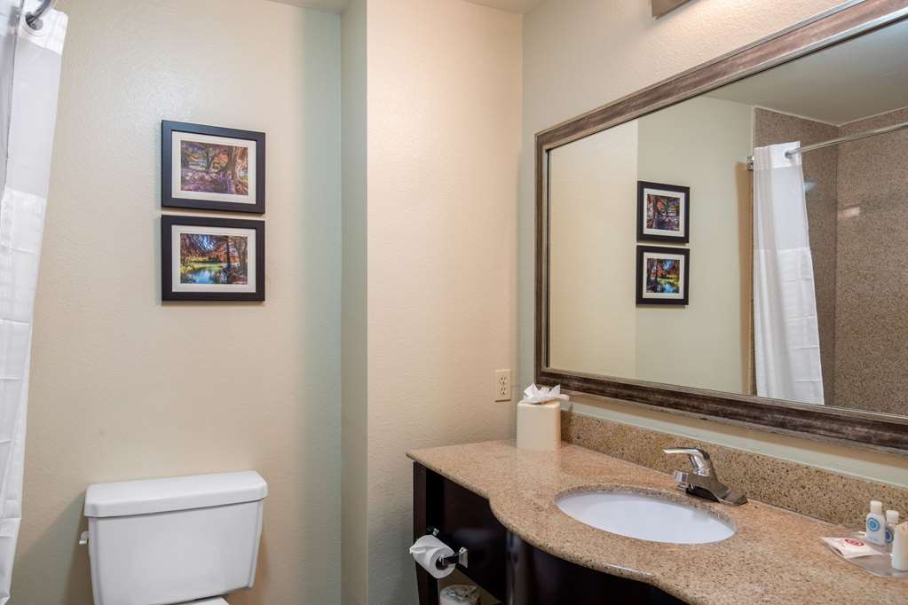 Comfort Inn & Suites Cedar Hill Duncanville - photo 15