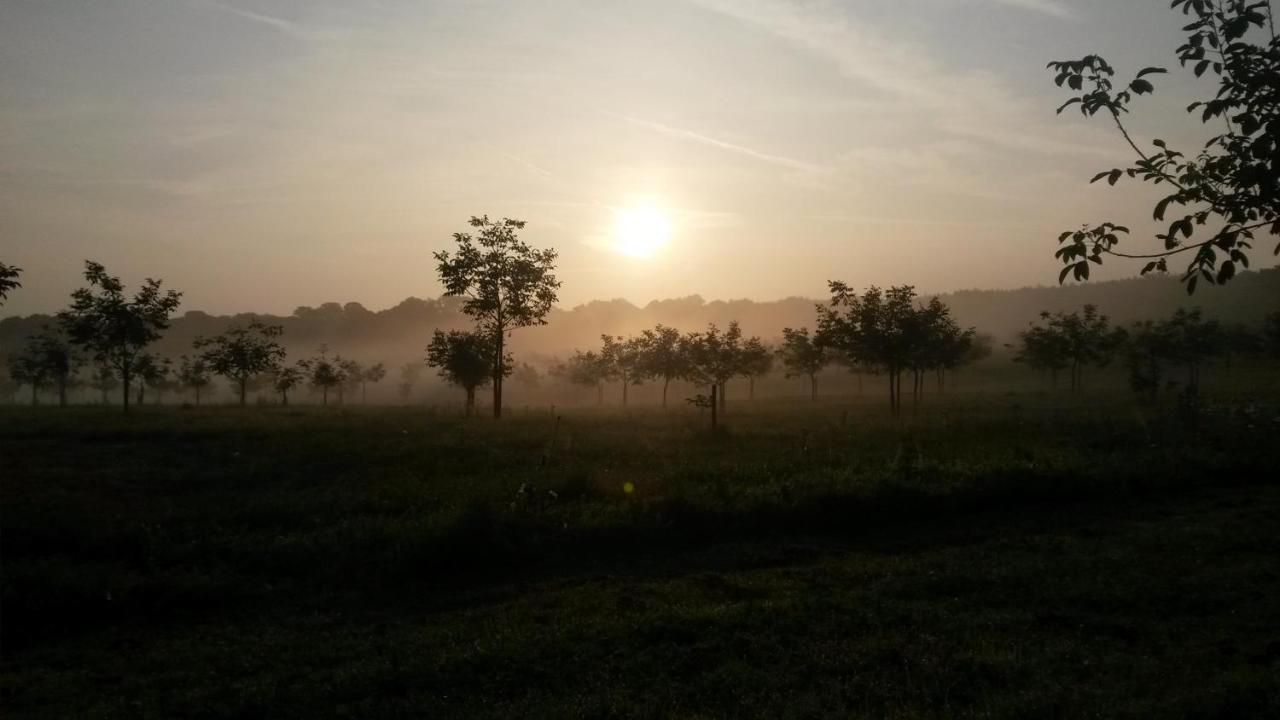 Domaine de la Noiseraie — Namur — photo 4