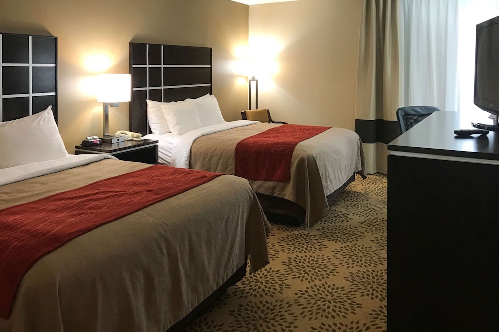Comfort Inn North of Asheville - photo 28