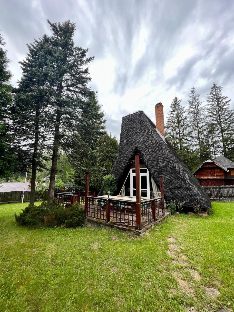 Mountain Getaway Cabin — Cheia — photo 5