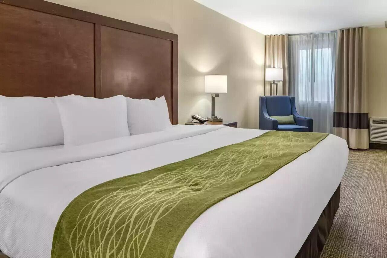 Comfort Inn & Suites Albuquerque Downtown - photo 28