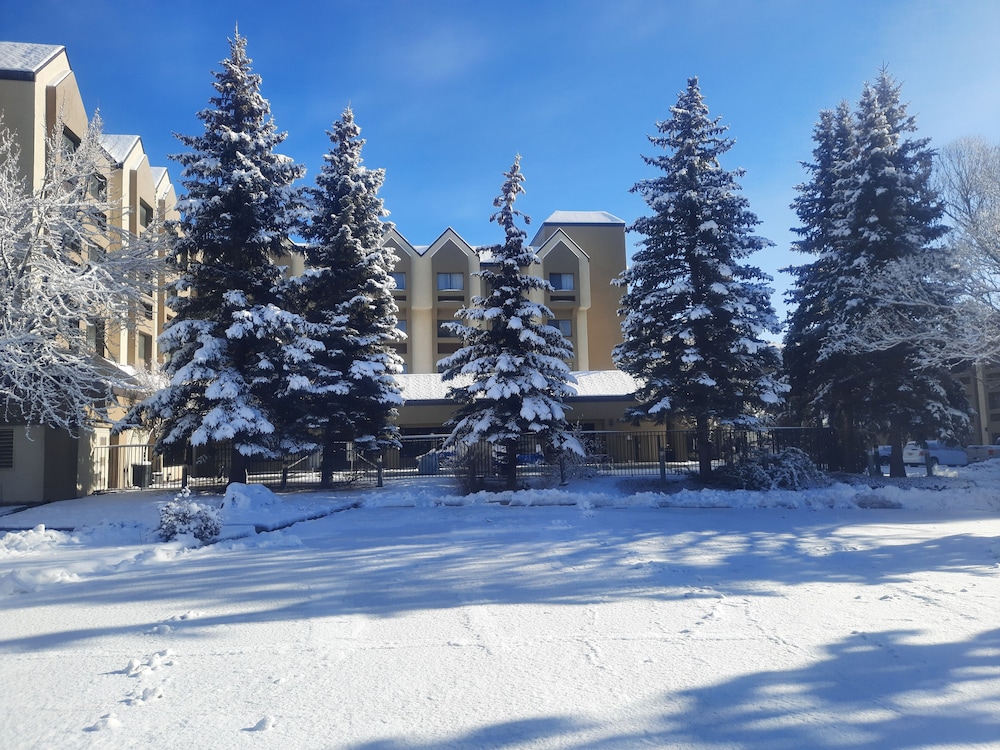 DoubleTree by Hilton Hotel Flagstaff - photo 89