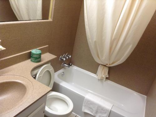 Royal Palace Inn & Suites - photo 5