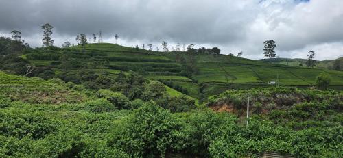 ThisTest - last minute hotel in Nuwara Eliya