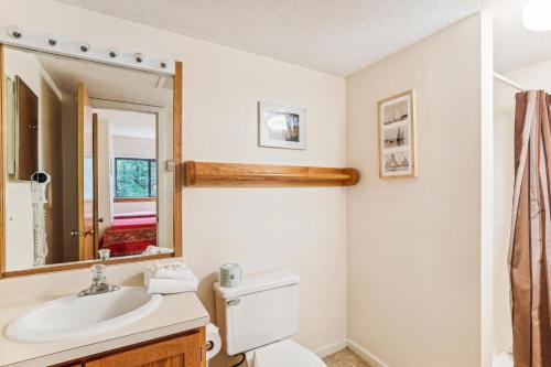 Pinnacle D09 - photo 11