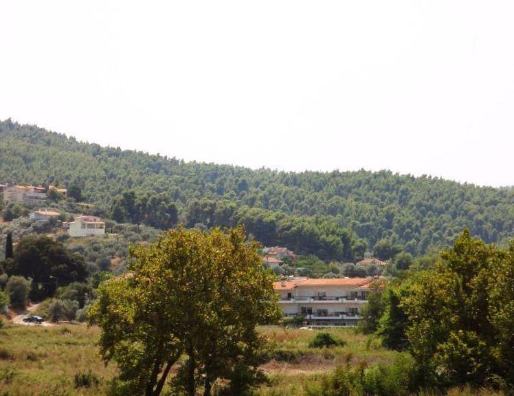 Apolonio Pefki Evia — Pefki — photo 2